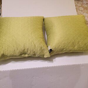 Newport Brand, Two Green Pillows 19x19, Plump & Cushy